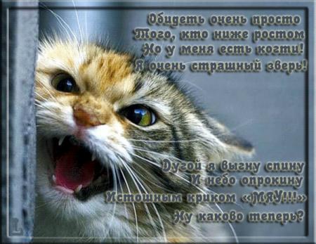 Ты обижена на меня стих Ты обижена на меня стих